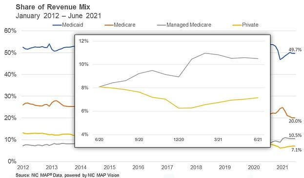 SNF Revenue Mix June 2021-1