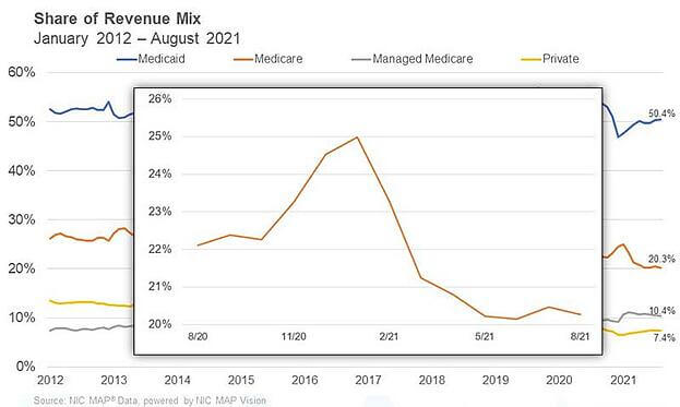 share of revenue mix